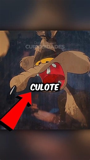 THE MOST BEAUTIFUL DETAIL IN COYOTE VS ACME