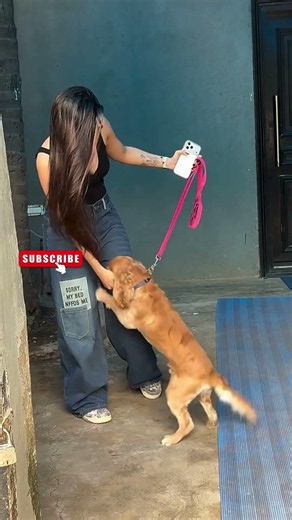 Dhanashree Verma enjoys a day out with her furry companion✌️#dhanashree #dhanashreeverma