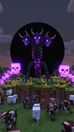 The Wither Just Killed the Sun 😳 (Watch Till The End)