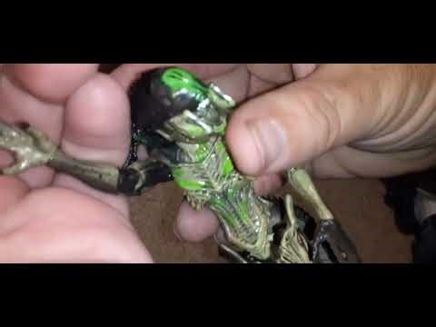 Alien Day PredAlien Unboxing!!!