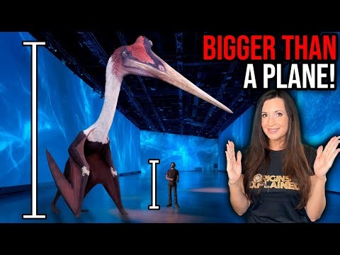 6 Dinosaurs That Pushed Evolution TO THE LIMIT!