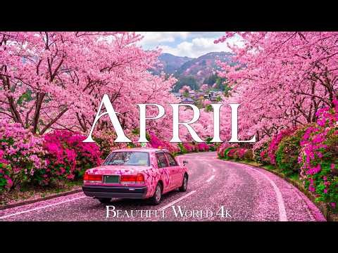 Spring in April 4K – The Perfect Bloom Time 2026 🌸 Cherry Blossoms, Lavender Hills & Colorful Nature
