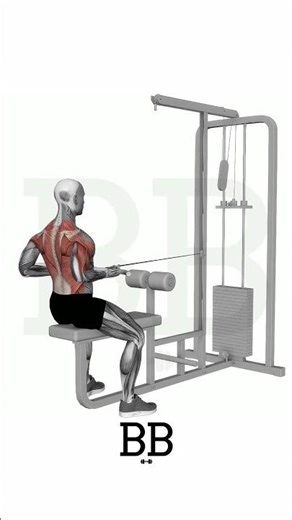 Cable Seated Row - Underhand Grip (BACK): Target Your Lower Lats & Biceps! 🦅💪