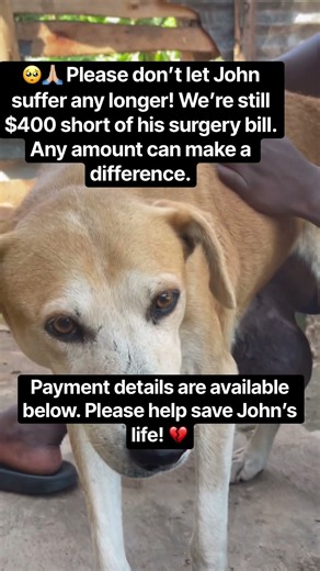 Payment details are available below. Please help save John’s life! 💔