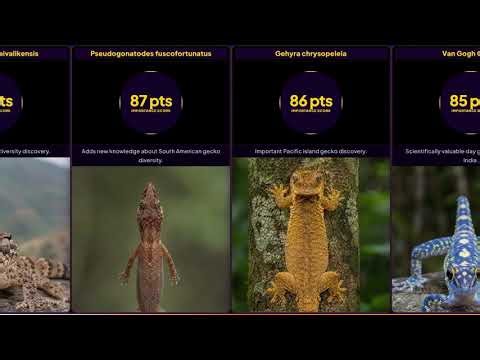 Top 20 New Gecko Species Discovered (2024–2026) 🦎 Ranked by Scientific Importance #gecko