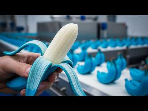 Inside the Blue Java Banana Factory: From Exotic Farm to Sweet Vanilla Ice Cream (Full Process)