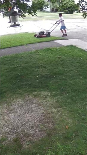 End ‘Federal Bureau of Illicitness’ Chronic Lawn Damage Using Various Weapons