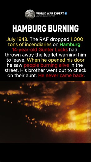 Hamburg 1943: The Firestorm #shorts