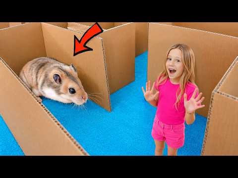 Nastya and Her Hamster Explore a Cardboard Maze