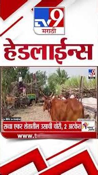 Tv9 Marathi News Top Headline Today | 26 August 2026 | 4 Minute 24 Headline Maharashtra