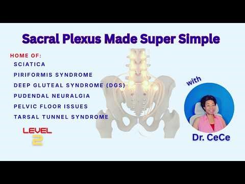 Sacral Plexus Decoded | Learn What Causes Sciatica, Piriformis Syndrome, Drop Foot & More