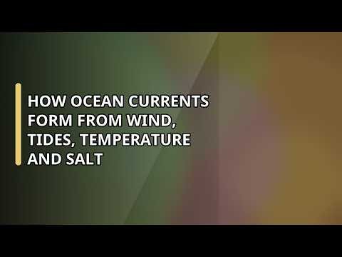 How Ocean Currents Form from Wind, Tides, Temperature and Salt