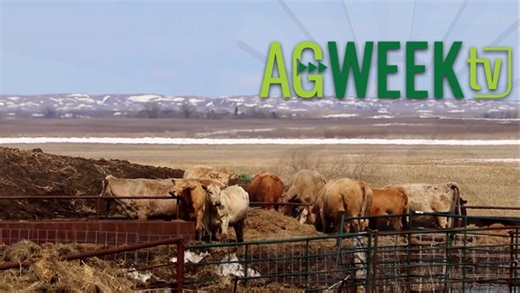 AgweekTV Full Show: Manure as fertilizer, planting safety, ASGA leader, ag tax preparation