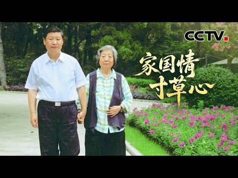 家国情 寸草心 | CCTV
