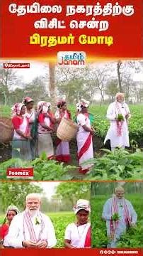 PMModi | Assam | தேயிலை நகரத்திற்கு விசிட் சென்ற பிரதமர் மோடி..! Tamil Janam