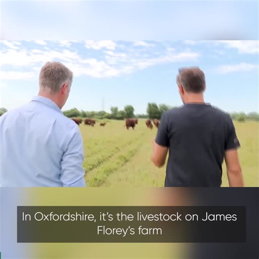 ICYMI 📺 ITV News visited NFU Midlands member James Florey on his farm in Oxfordshire to learn how he has been impacted by extreme weather ⛅