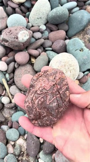 SUPERIOR Rockhounding finds from a Great Lake! #fossils #rocks #rockhounding