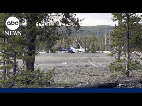 Bear attacks 2 hikers at Yellowstone National Park