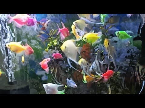 The ECQ BLOOMS garden is live!