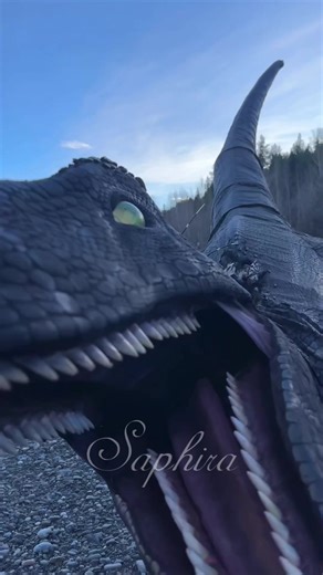 Silly Raptor Moments in Hide and Seek