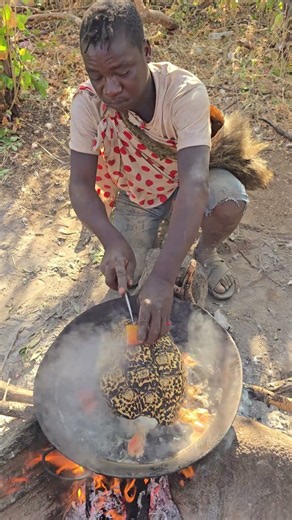Its time to cook tortoise meat in the bush