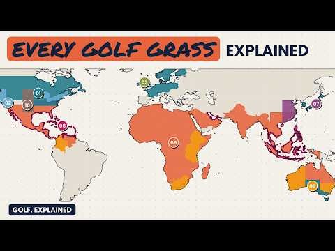 Every Golf Course Grass, Explained (Bentgrass to Kikuyu)