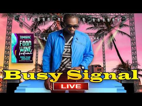 Busy Signal Performs live at Tamarac Food and Wine Festival 2026