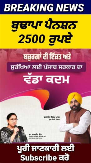 2 ਜਨਵਰੀ 2026 ਤੋਂ ਲਾਗੂ, 60 ਸਾਲ ਵਾਲਿਆ ਲਈ ਵੱਡੇ ਐਲਾਨ, 300 Pension scheme, Budapa Pension 2026, #pension