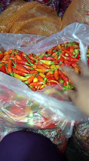 citra buah & sayur (@mamaemal)’s videos with suara asli - citra buah & sayur