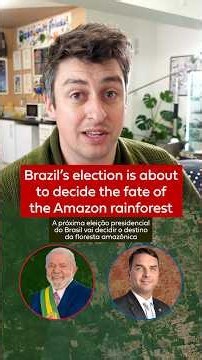 Brazil's election is deciding the Amazon's future
