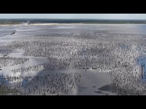 Half-century after abandoned Florida canal project, plan would restore rivers