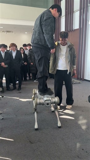 Robot dog load-bearing test in Zhejiang, China
