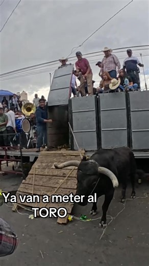 Toros Bravos: Preparación para la Corrida