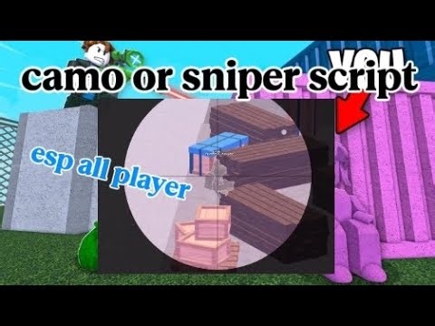 💎Camo or sniper script