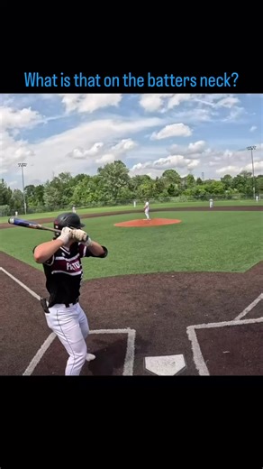 Was He Lying? Insights on Michigan Umpire Decisions