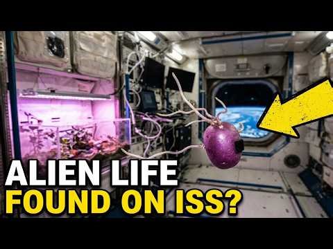 The Alien on the ISS What NASA isn't telling you about Space Food #NASA #SpaceExploration #ISS