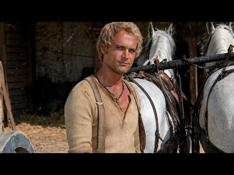 Películas de Vaqueros | Trinity y sus dos compinches | Terence Hill | Película Completa 4K