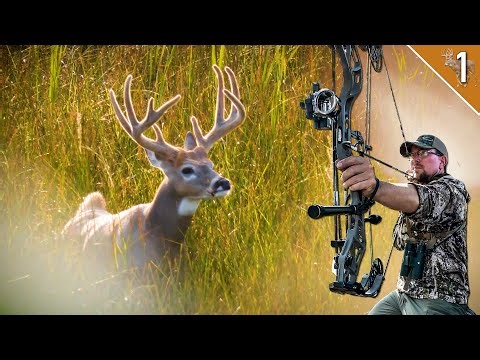 My BEST Bow Shot Ever! | Deer Tour '25