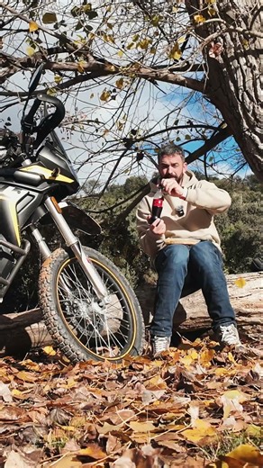 TORTILLA DE PATATA, con o sin CEBOLLA ??