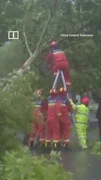 Typhoon Bavi makes landfall in eastern China