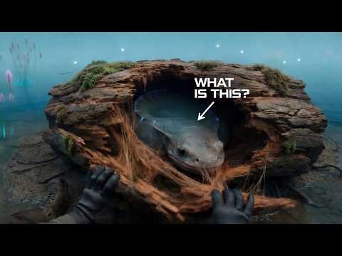 Exploring an Unknown Wetland… Possible New Species Found