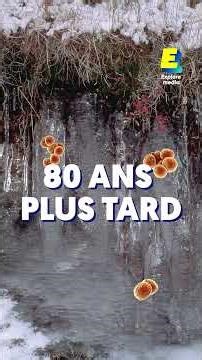 On ne peut pas mourir dans cette ville 🙅🏼‍♂️ #shorts