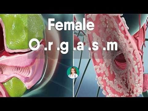 3D Female Reproductive System Animation | Ovulation, Fertilization & Menstrual Cycle Explained