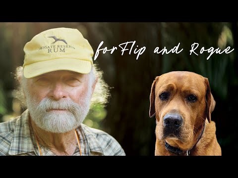 Looking ahead in 2026 - for Flip and Rogue.