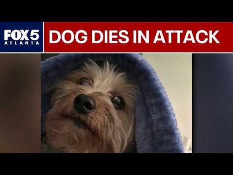 Ring camera captures audio of fatal South Fulton dog attack | FOX 5 News