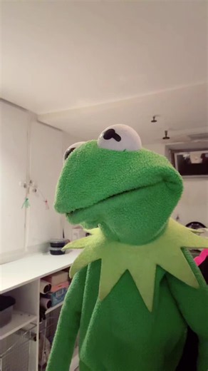 #PuppetsOfTikTok #Kermit | puppet