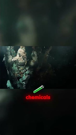 Could life exist without the sun? Discover nature’s most mysterious deep-sea survivors.