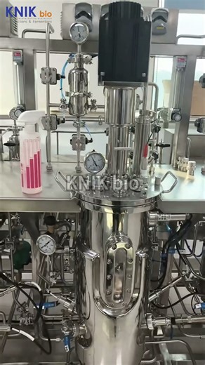 30L Triple Parallel Bioreactor | Parallel Microbial Fermentation System