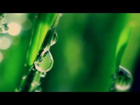 Thursday, December 31, 2020.