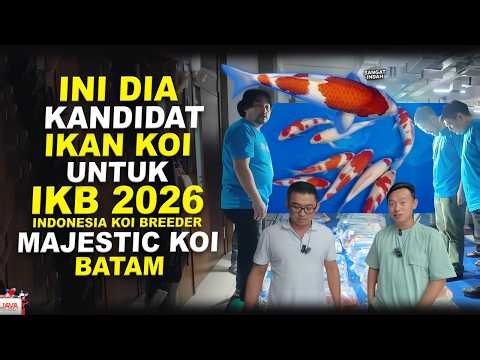 SPILL KANDIDAT IKAN KOI MAJESTIC UNTUK IKB 2026!
